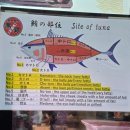 오아시스153 | 오아시스가 도쿄에 간다면 나도 간다 - 2일차,3일차