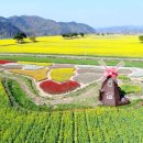 낙동강체육공원 축구장4 이미지