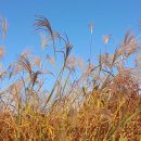 11월의 시 이미지