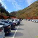 순창 강천산 이미지