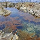 해조한의원 이미지