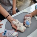 (원데이) 모루인형 키링 만들기 이미지