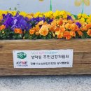 성덕동-6 이미지