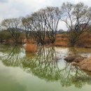 성성호수공원(행정) 이미지