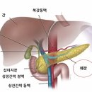 [암 희망 수기 9회] 간암 극복사례 ​ 이미지