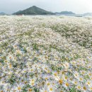 ＜10,01.주일오전예배설교＞ 이제라도 여호와께로 돌아가자 이미지