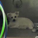 홈베이킹 제빵(주간) 이미지