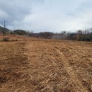 정영농장 이미지