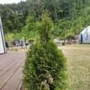 횡성군갑천보건지소 | 2025.05.06