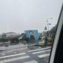 테디베어 | [제주도] 제주도 비오는날 테디베어 뮤지엄 방문후기