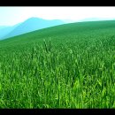 물래방아목장 이미지