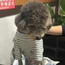 요기어때 술한잔