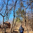 양주별산대놀이마당 화장실 이미지