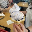 공차대전시청 | 공차 타로 아이스크림 대전시청법원점 판매 | 말차팥빙수쉐이크와 함께한 솔직 후기 추천은 글쎄?