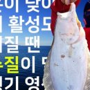 신나라1호