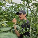 순용농장 네이버블로그