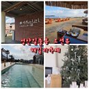 오조리 올레길 공중화장실 | 성산일출봉카페 오션뷰 포토존맛집! 해일리카페 후기