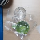 닥엔돈스 전주 효천점 : 맥주와 잘 어울리는 쪽갈비 바베큐