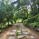 [국도37] 괴산군 입암리 | 충북괴산가볼만한곳 시원한 폭포가 있는 괴산수옥폭포
