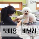 미래펫미용 이미지