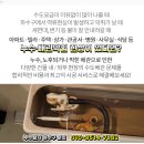 사)대한산업보건협회 부산의원 이미지