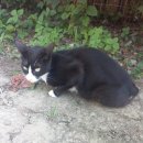 GS25대공원점 이미지