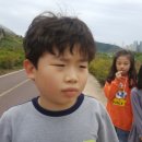 세천강변 이미지