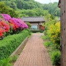 산에들에민박 이미지