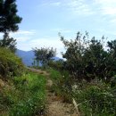 금오주유소 이미지