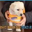 사진찍는날