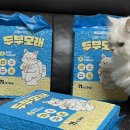 멍냥이노리터 이미지