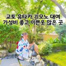 씨유진주파란점 | 와카무라사키 교토 아라시야마 유타카 기모노 대여 추천! 가는법 예약방법 내돈내산 후기