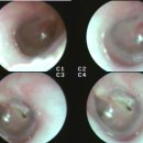 소아랑한의원 이미지