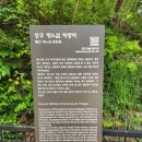양구개느삼자생지 이미지