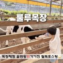 문화농장 | 파주 룰루목장 동물 농장 체험 가격 예약 솔직후기