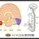 삼성제일한의원 이미지