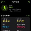 빌리지렌트카 이미지