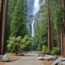 요세미티 국립공원(Yosemite National Park) 이미지