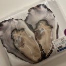 윤의원 | 2026 Feb recap