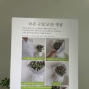 꽃담은글광안리점24시무인꽃집 이미지