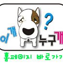 이개누구개 이미지