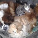 품안농장 이미지