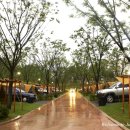 중랑캠핑숲 이미지