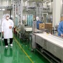 푸드위드 이미지