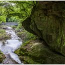 월광가든 이미지