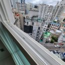 양정퀸즈w에디션 앞 이미지