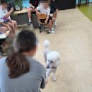 군산산북초등학교 이미지