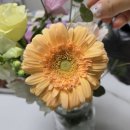 홈패션(초급반) 이미지