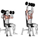 피트니스 에스 핏 이미지