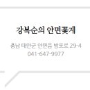 안면리조트 이미지